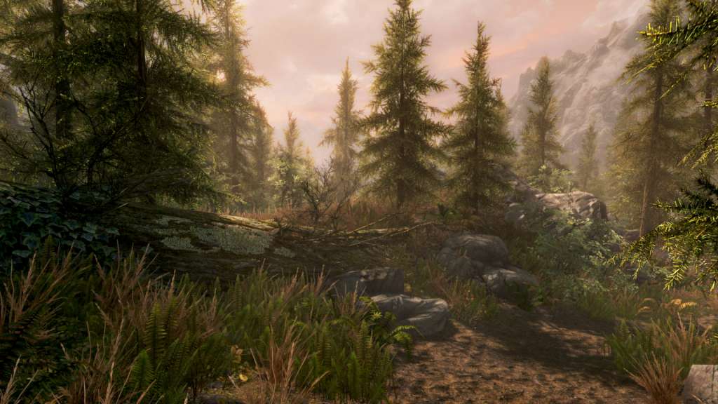 The Elder Scrolls V: Skyrim Special Edition - Steam Key - GLOBAL - 5