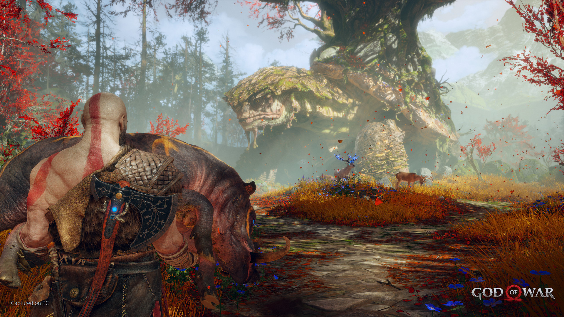 God of War - Steam Key - GLOBAL - 3