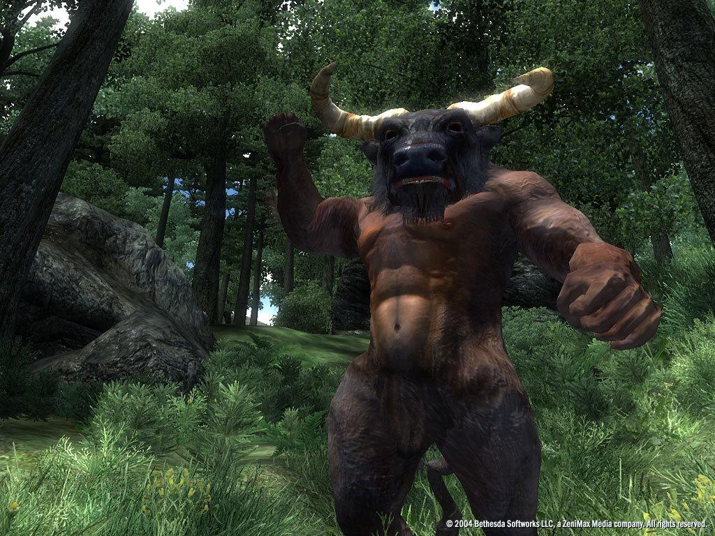 The Elder Scrolls IV: Oblivion GOTY Edition Deluxe - Steam Key - GLOBAL - 6