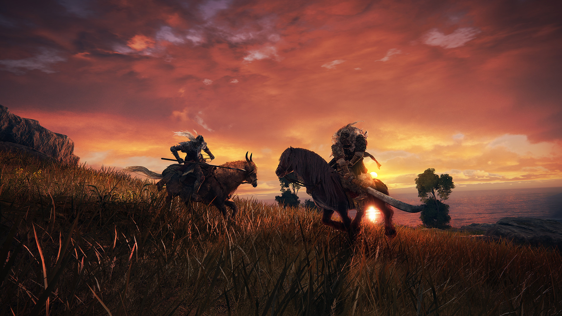 Elden Ring - Steam Key - EUROPE - 4