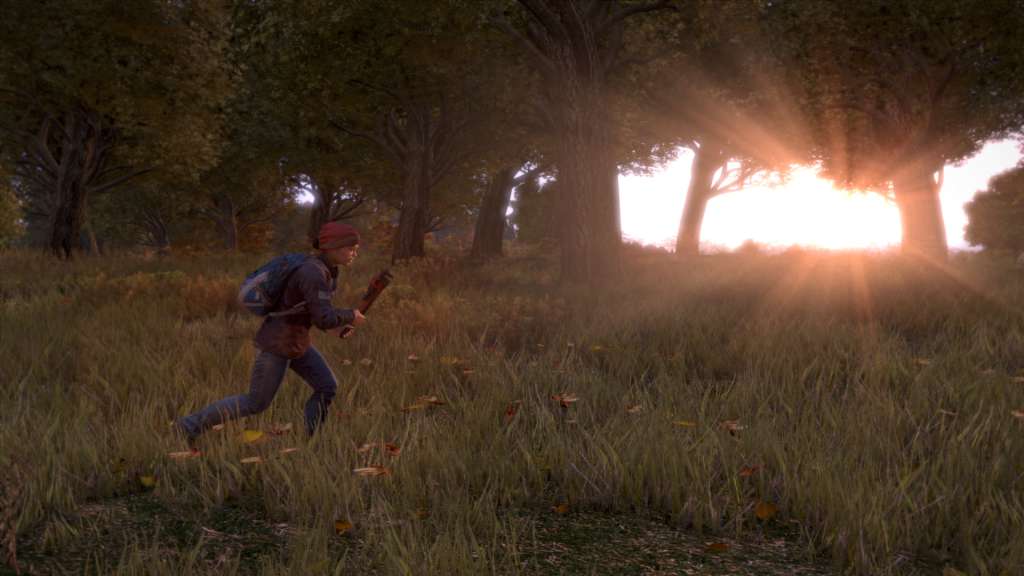 DayZ - Steam Key - GLOBAL - 7