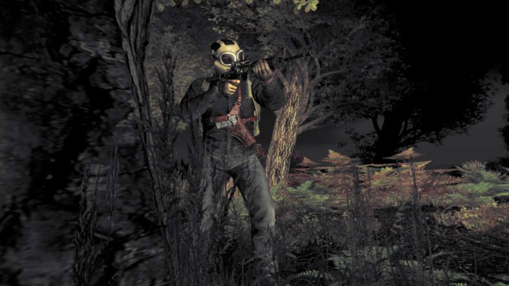 DayZ - Steam Key - GLOBAL - 6