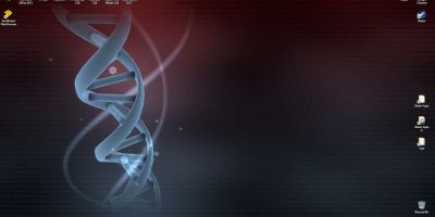 ss_c8bfa87254c3bec668777686ad16bc57b933e32e.1920x1080_1_1_1.jpg